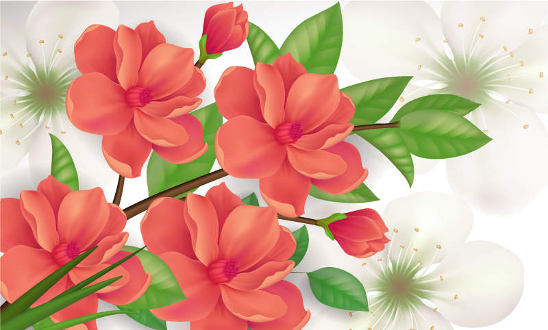 Vinyl teppich blumen buntes blütenarrangement - TenStickers