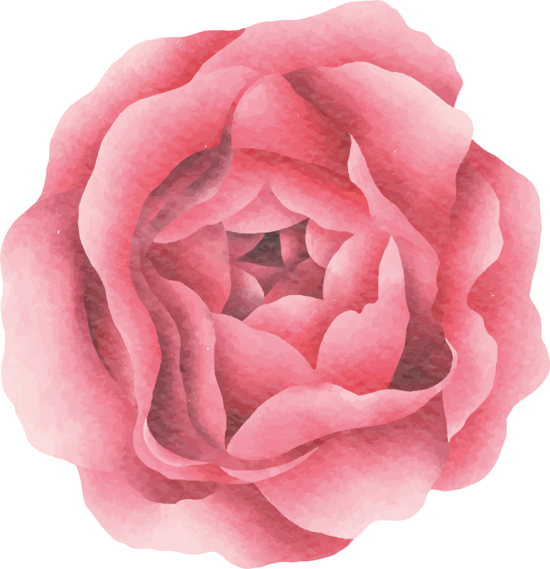 Vinyl teppich blumen in zartem rosa - TenStickers