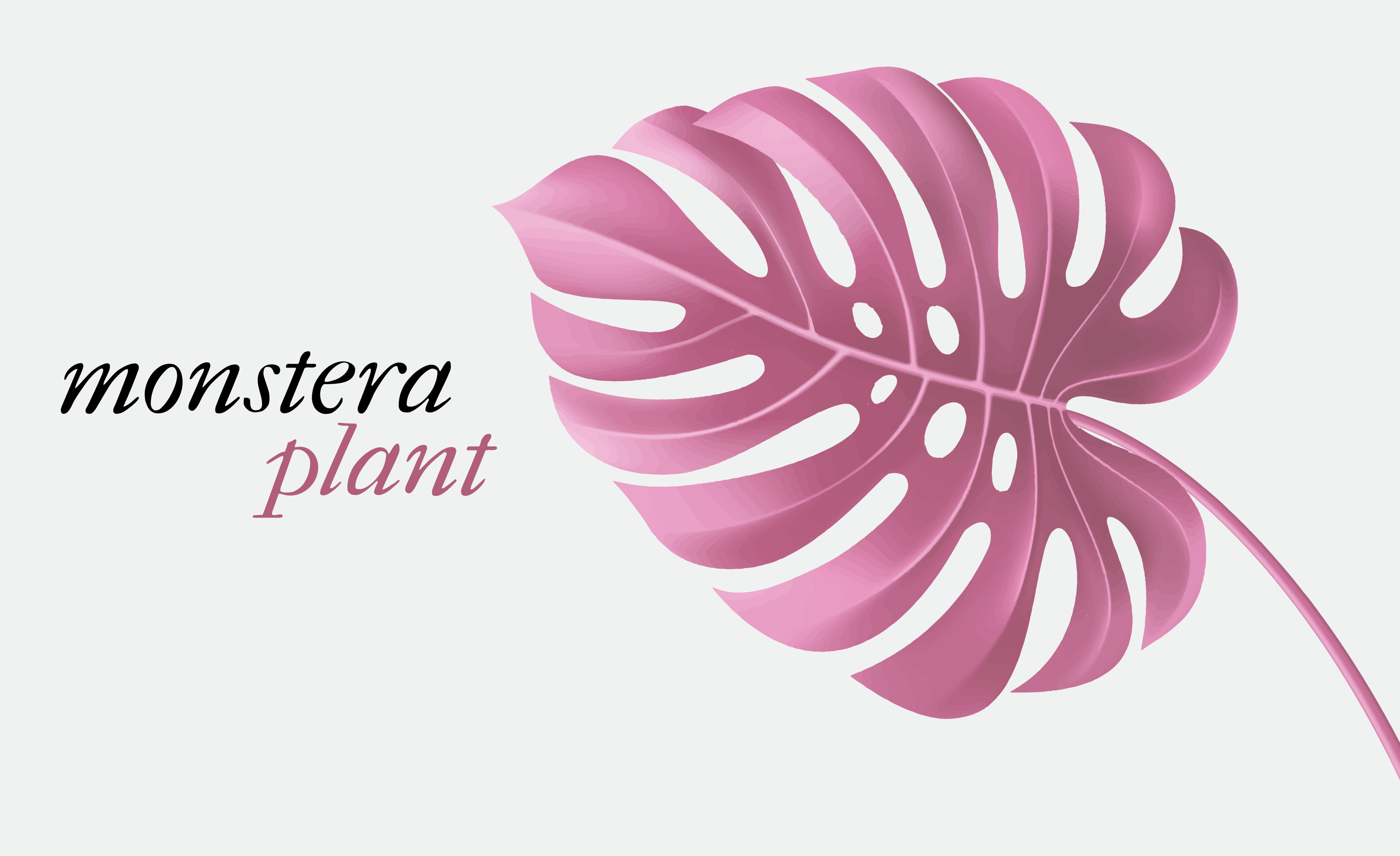 Vinyl Teppich Blumen rosa monstera-pflanze - TenStickers