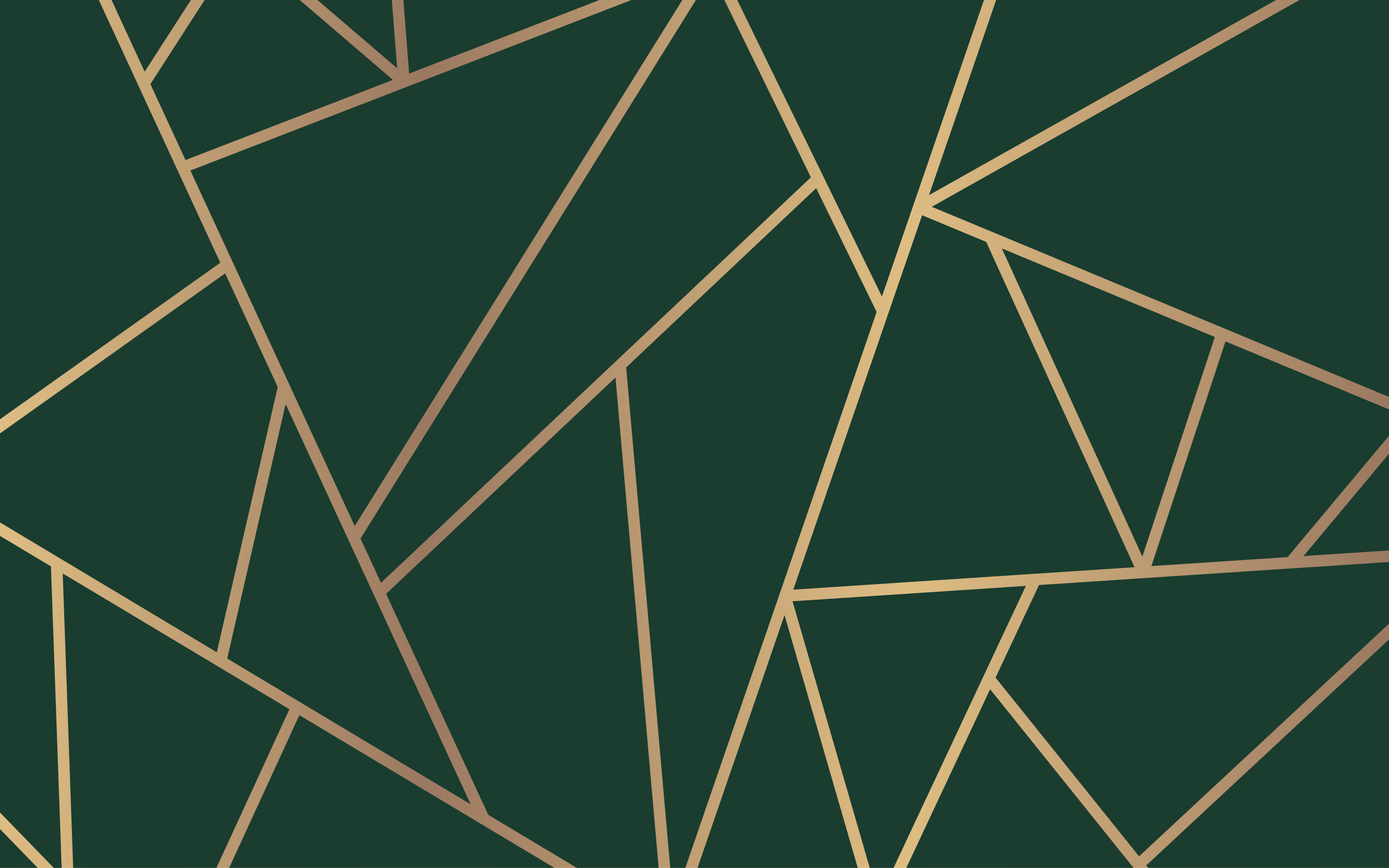 Vinyl Teppich geometrisch grüne elegante linien - TenStickers