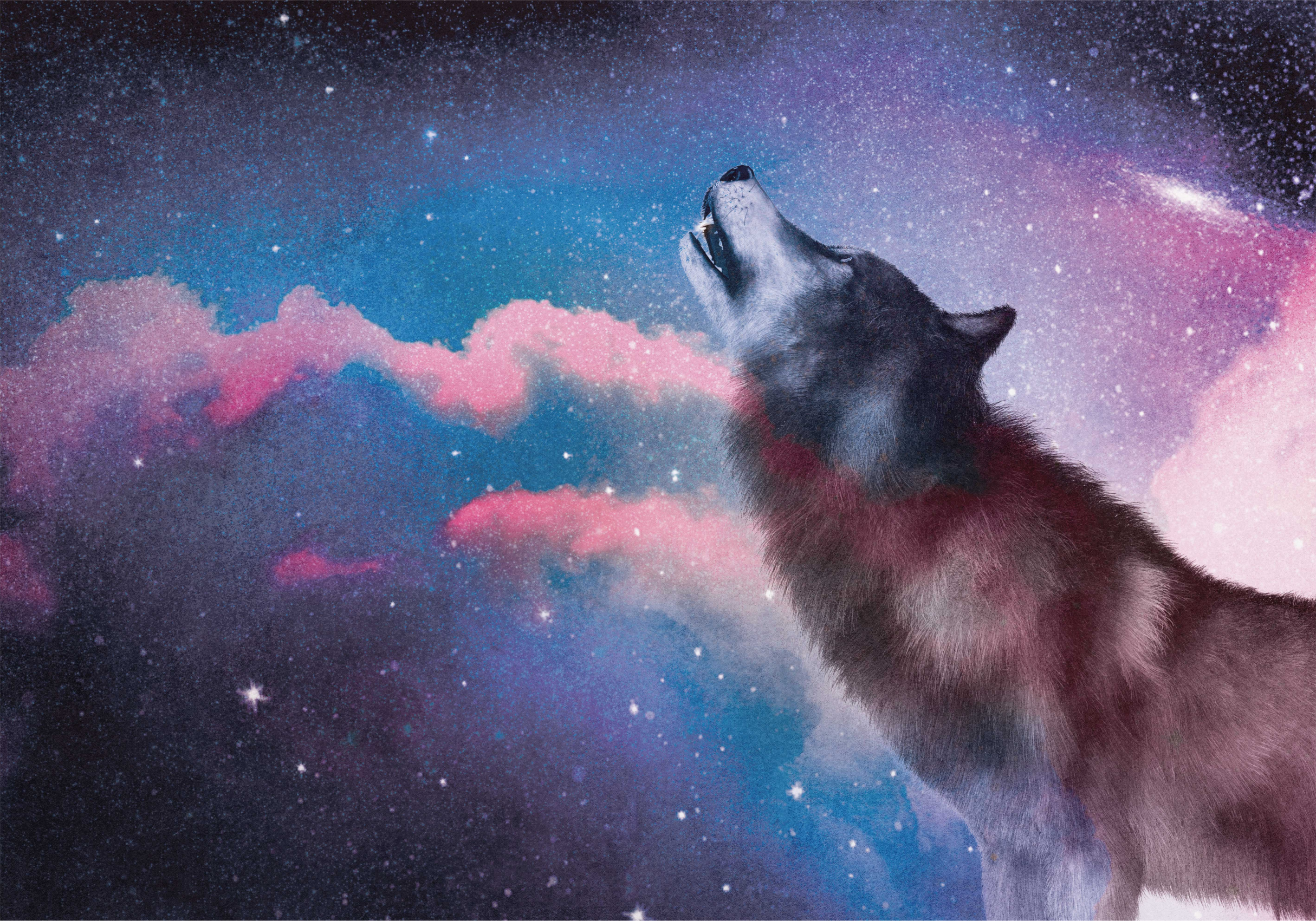 Vinyl teppich tiere mit kosmischem wolfsgeschrei - TenStickers