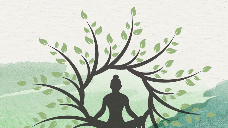 Vinyl Teppich Natur meditationsbaum-design - TenStickers