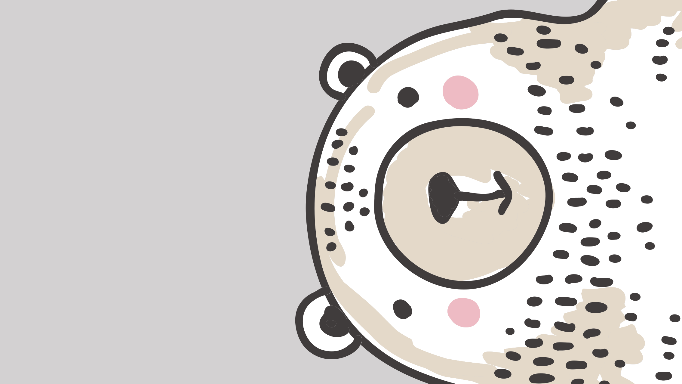 Vinyl Teppich Baby bärengesichtsform - TenStickers