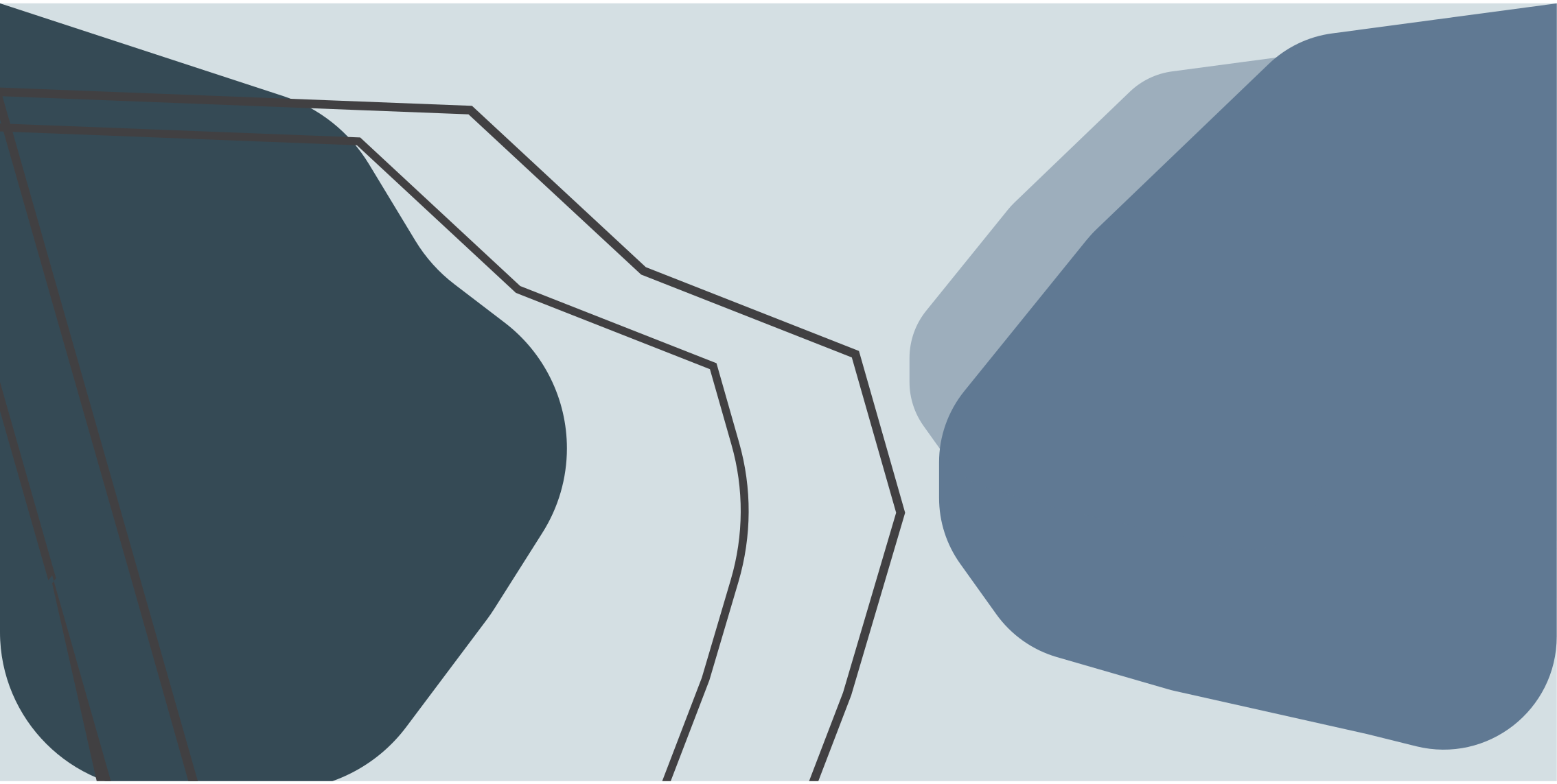 Vinyl Teppich geometrisch abstrakte konturlinien - TenStickers