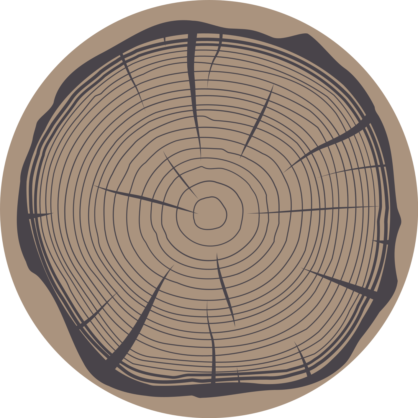 Vinylteppich Natur Baumstamm - TenStickers