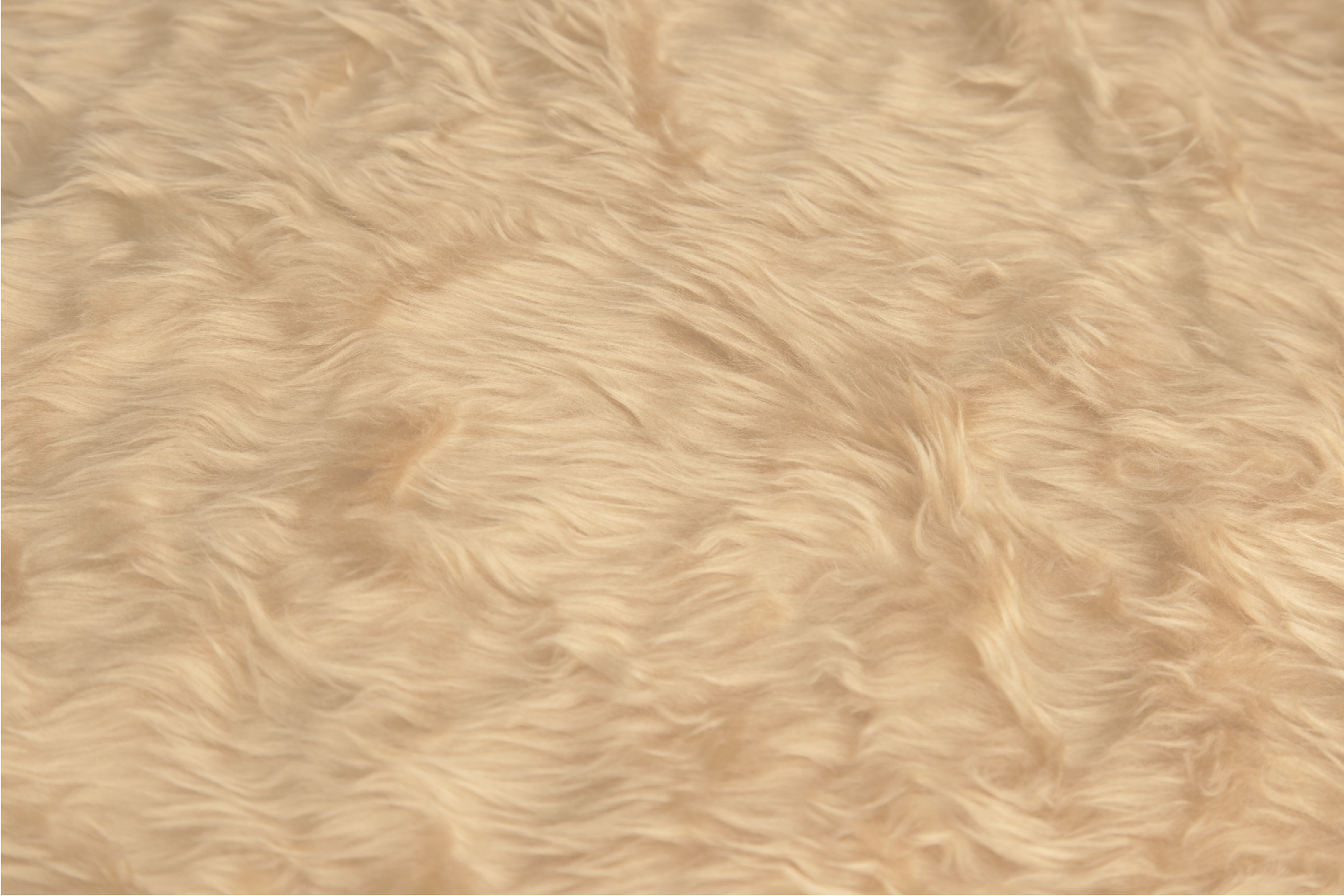 Vinyl Teppich Esszimmer design mit wolleffekt - TenStickers